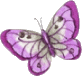 Butterfly1n4