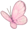 Butterfly1p2
